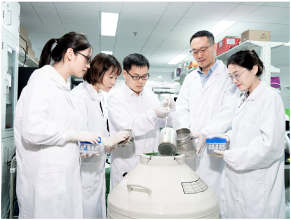 國際首次！中國科學家成功構建胚胎干細胞嵌合體猴(圖2)